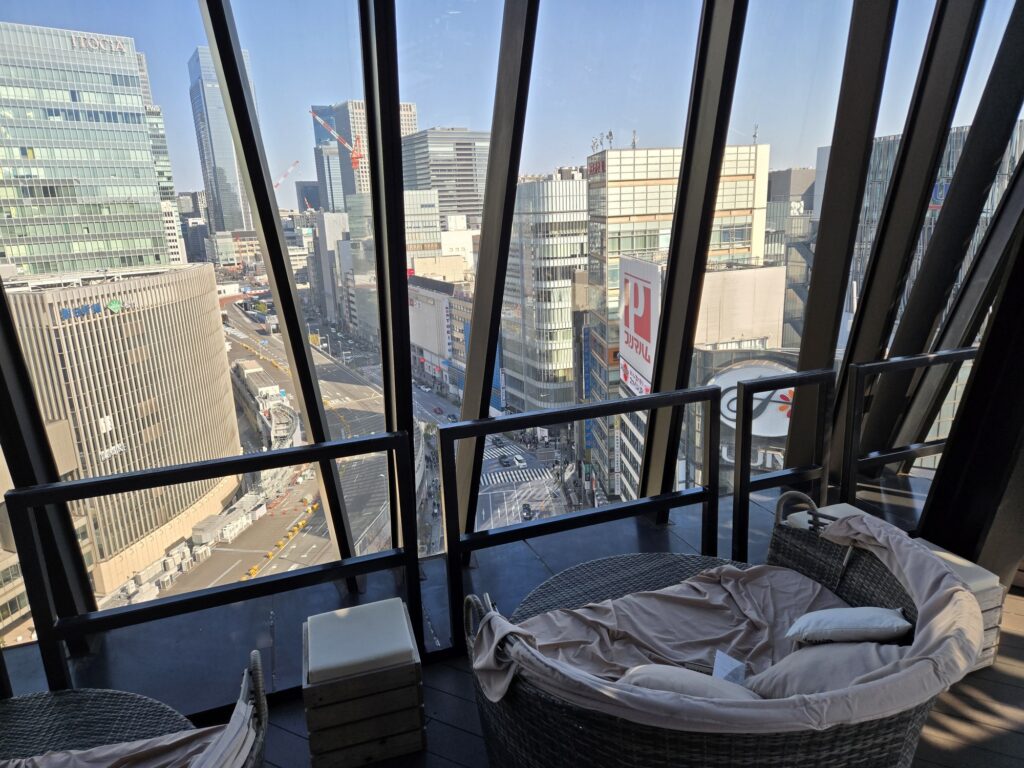 「The Mint Ginza（ザ ミント ギンザ）」からの景色