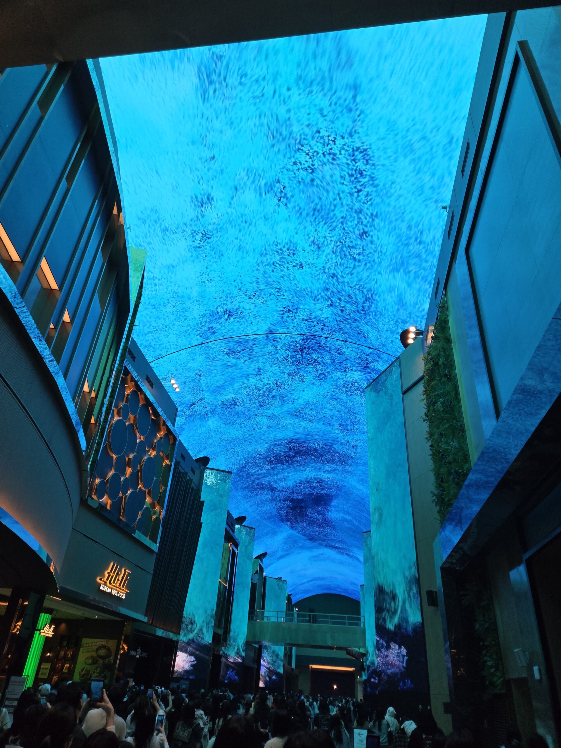 オーロラ、特別動画、海