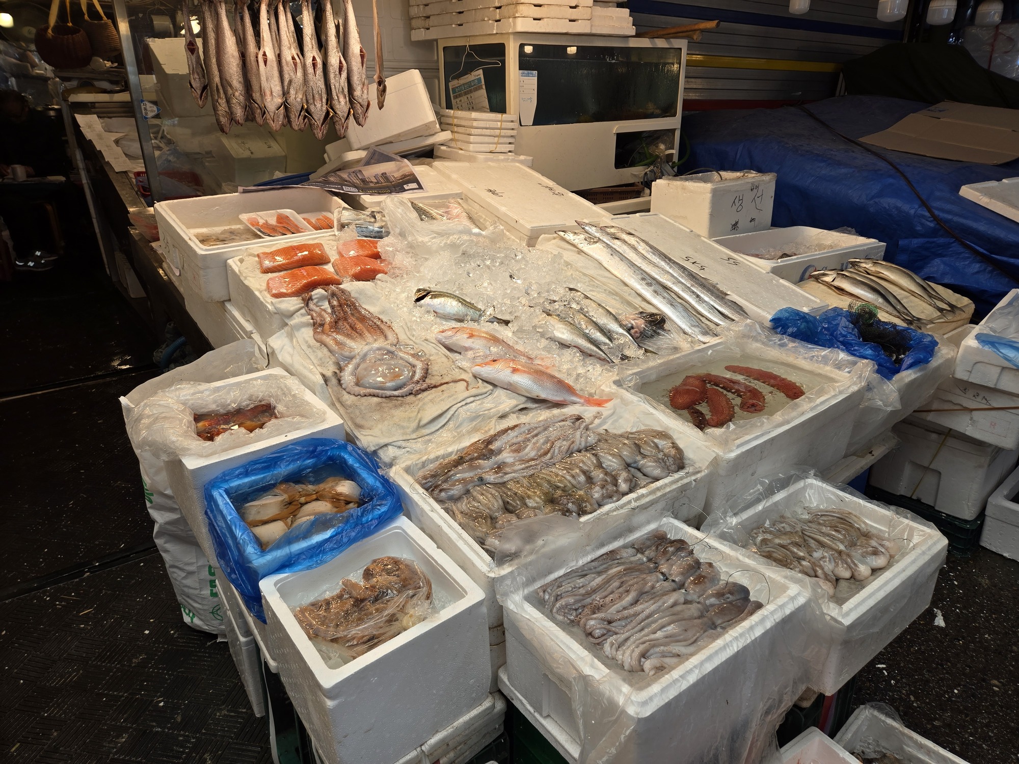 市場の魚介類、海産物