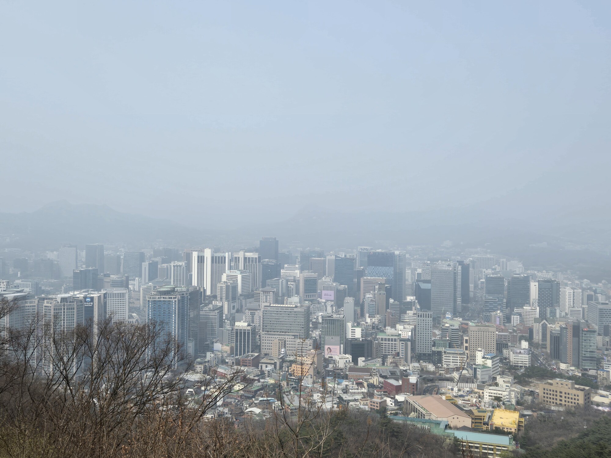 南山からの眺望