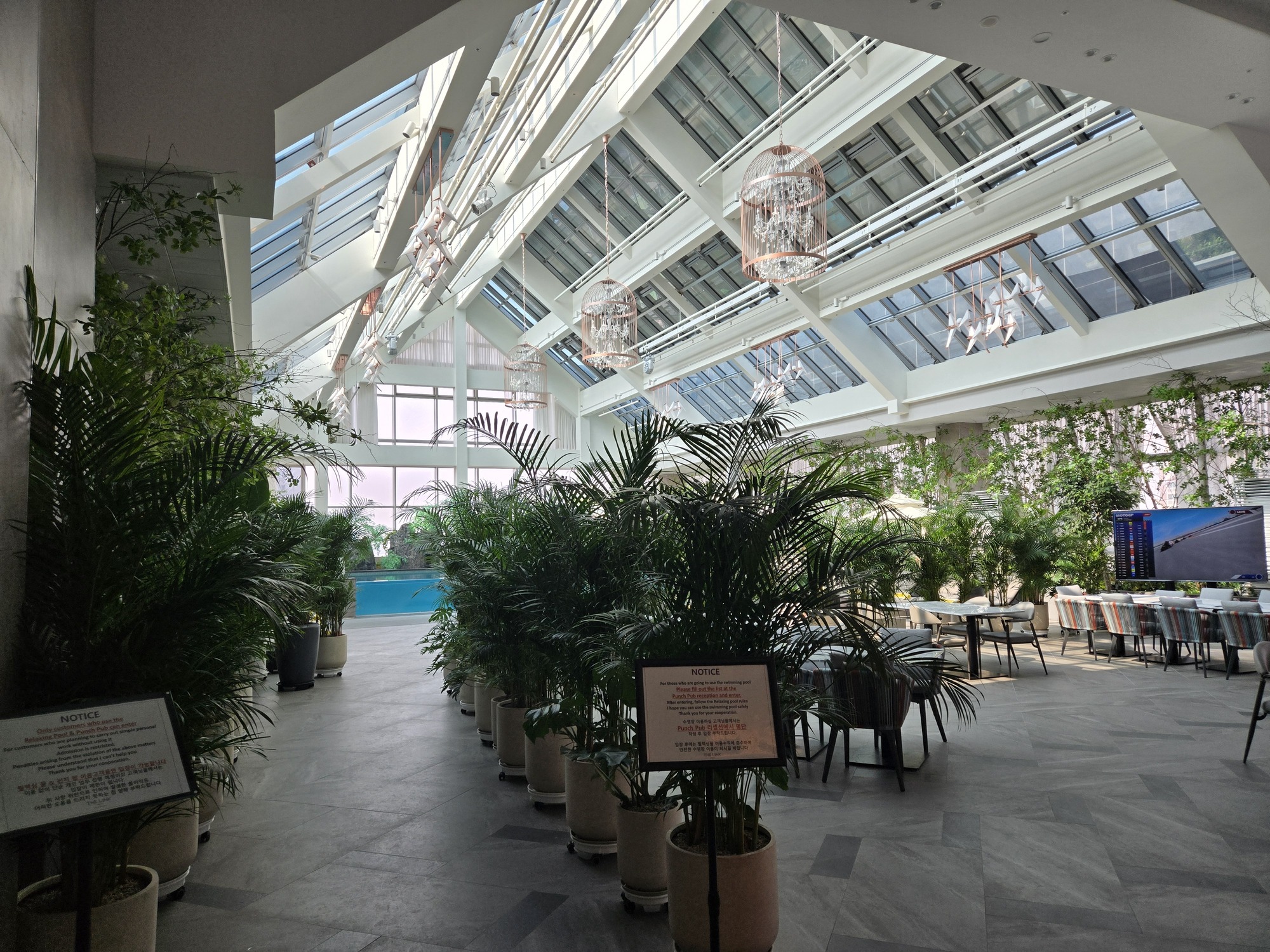 プールエリアの入口の様子