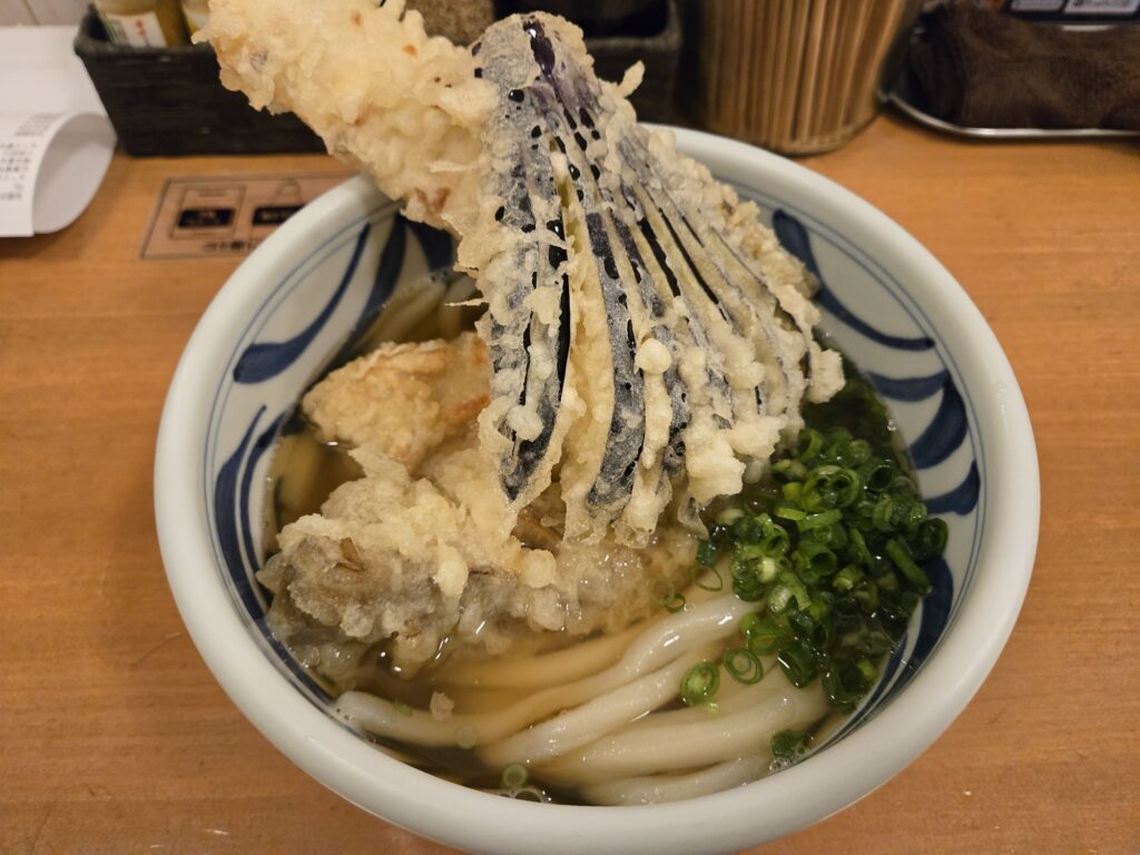 茄子などの天婦羅がのったうどん