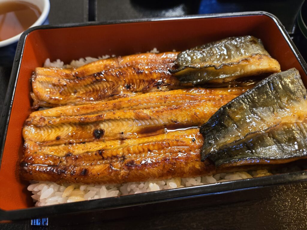 折り返すほど大きなウナギがのったうな重