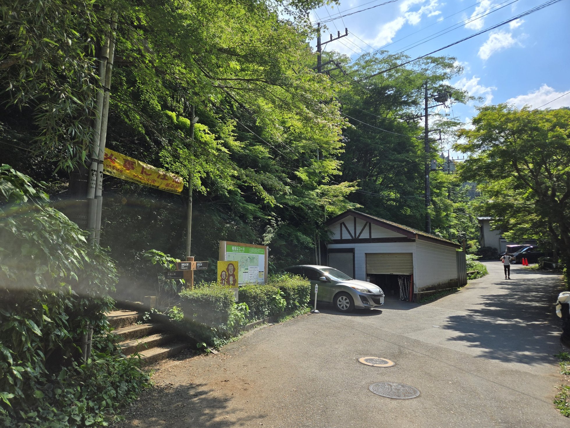 緑に囲まれた小道と駐車場風景