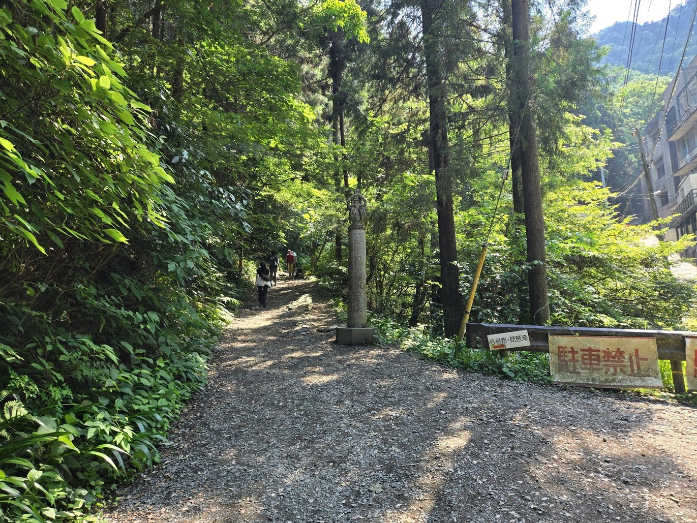森に続く整備された山道