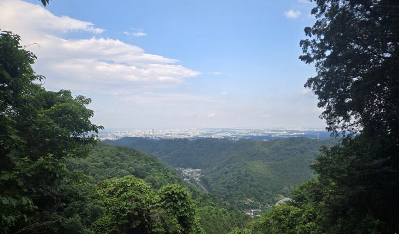 緑の山と広がる都市風景の美しい風景