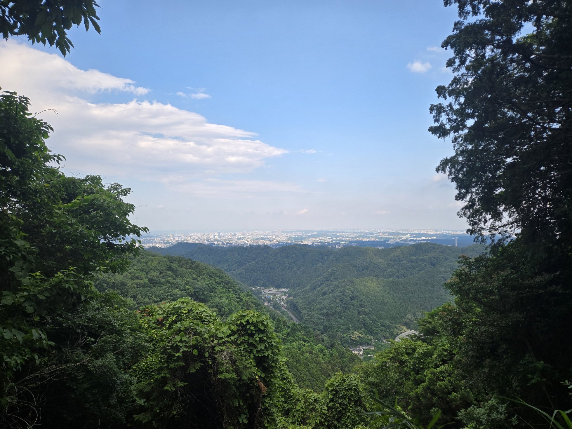 緑の山と広がる都市風景の美しい風景