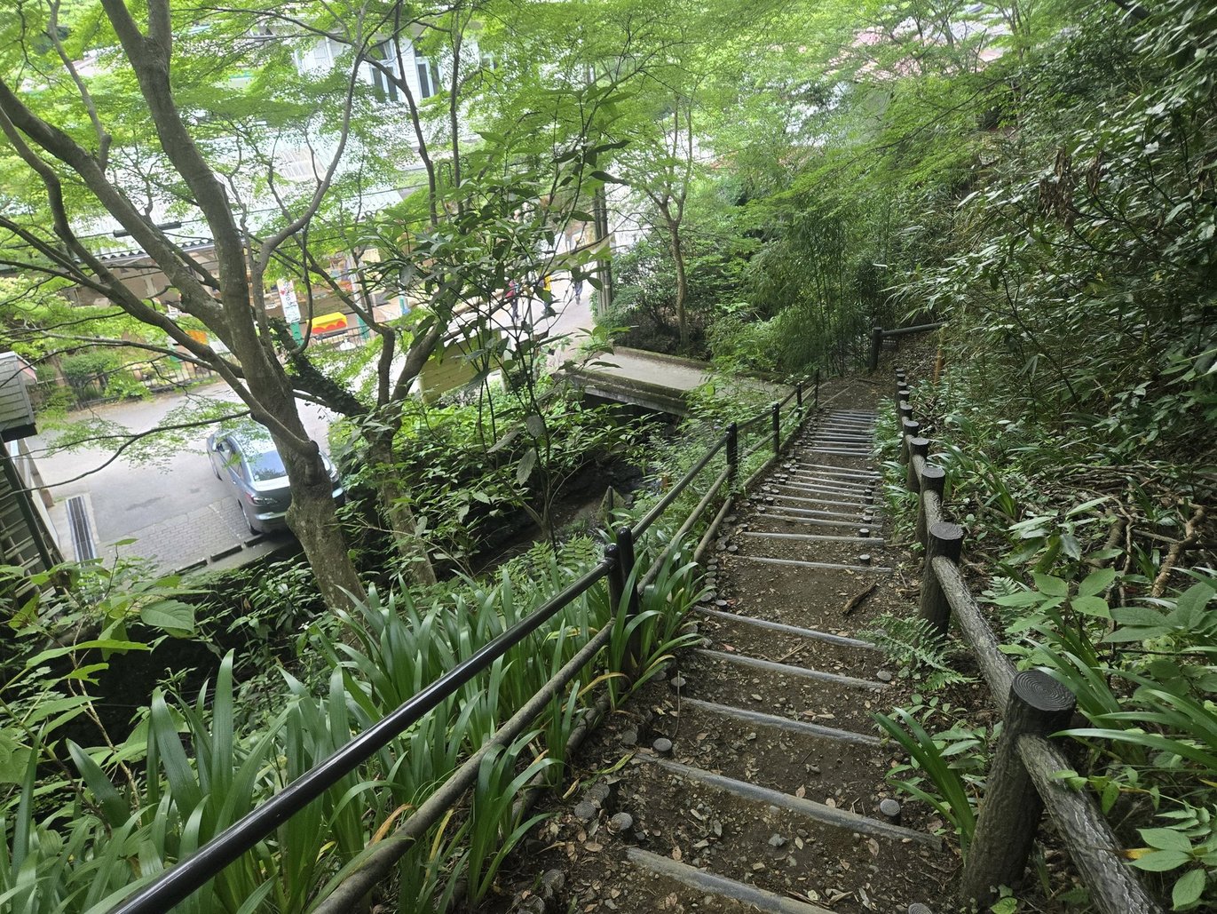 高尾山の木々に囲まれた石段の道