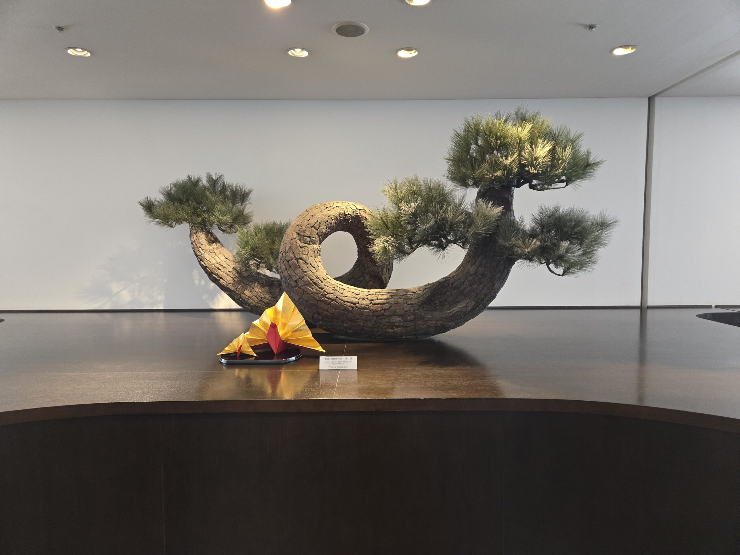 DIAMOND PREMIER LOUNGEの入口にある盆栽