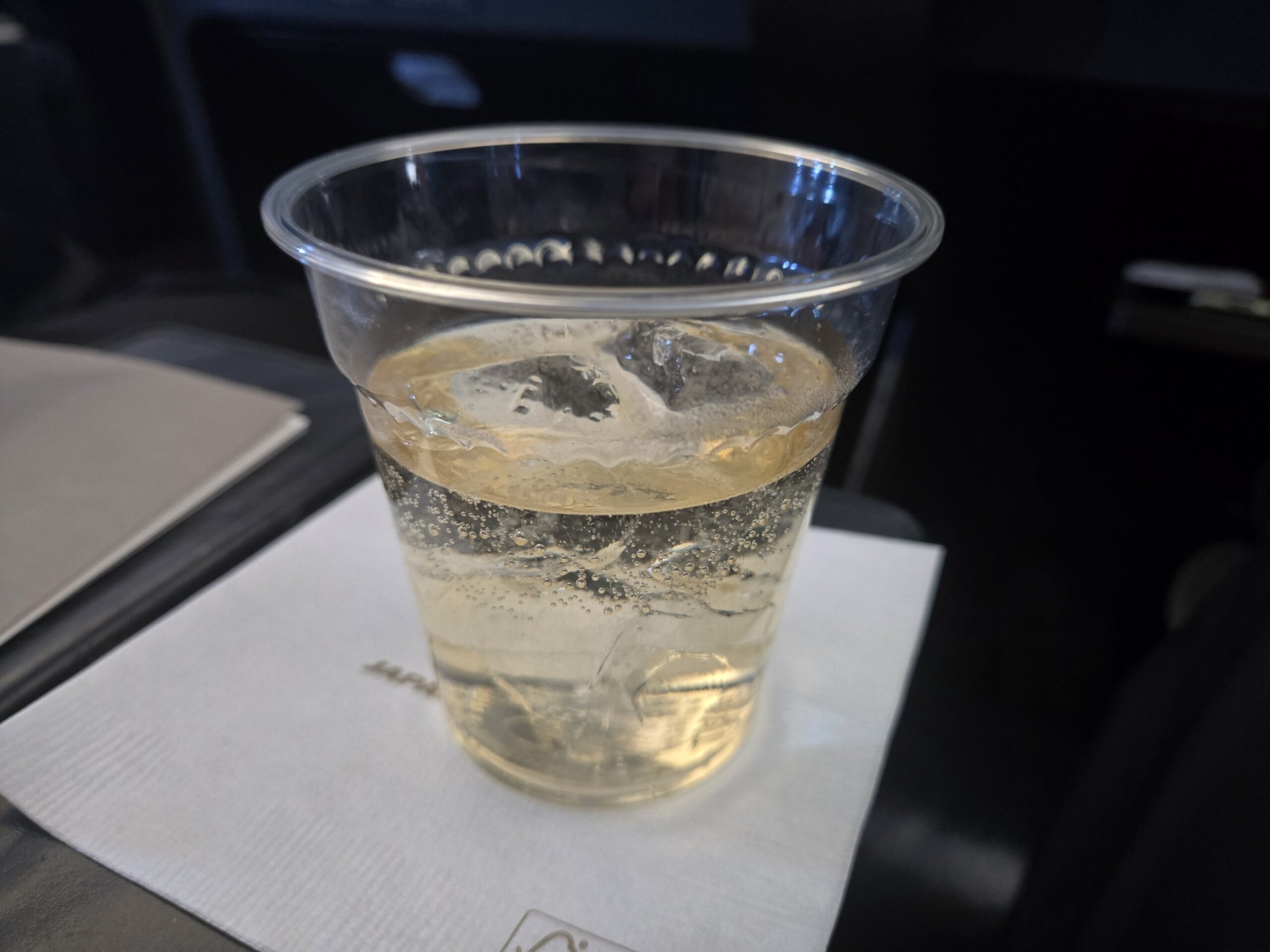 氷入りのシャンパンをプラスチックカップで