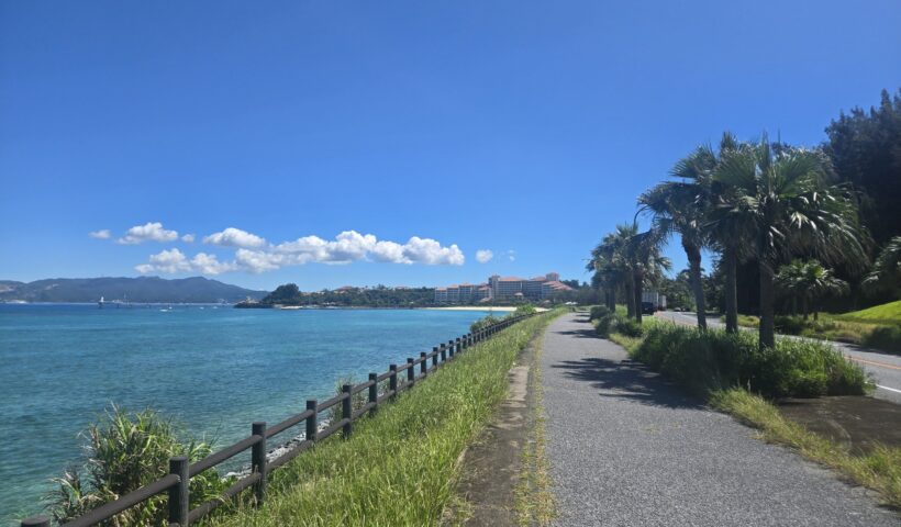 海沿いのジョギングコースとヤシの木