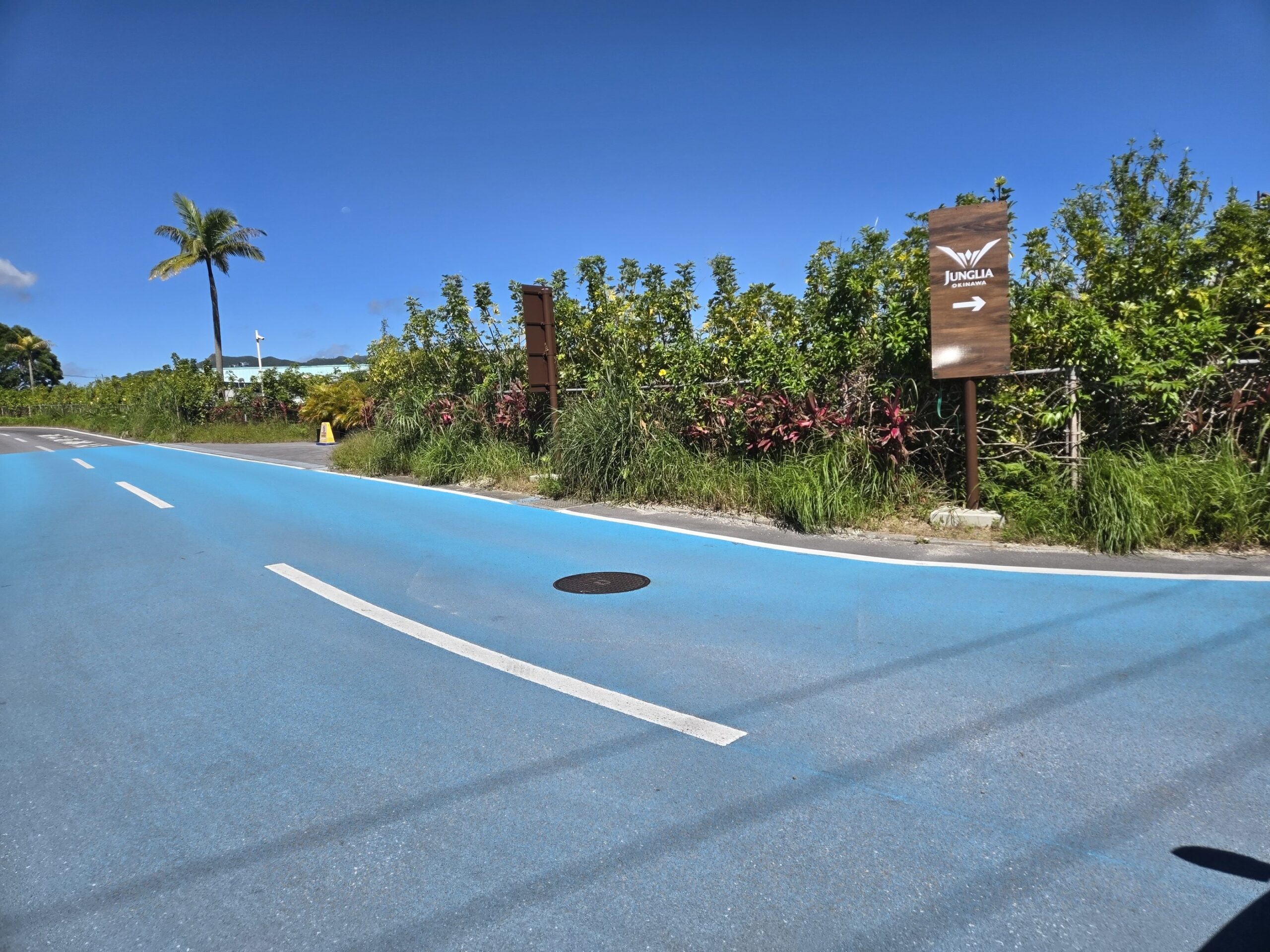 ジャングリアの駐車場へ向かう道路