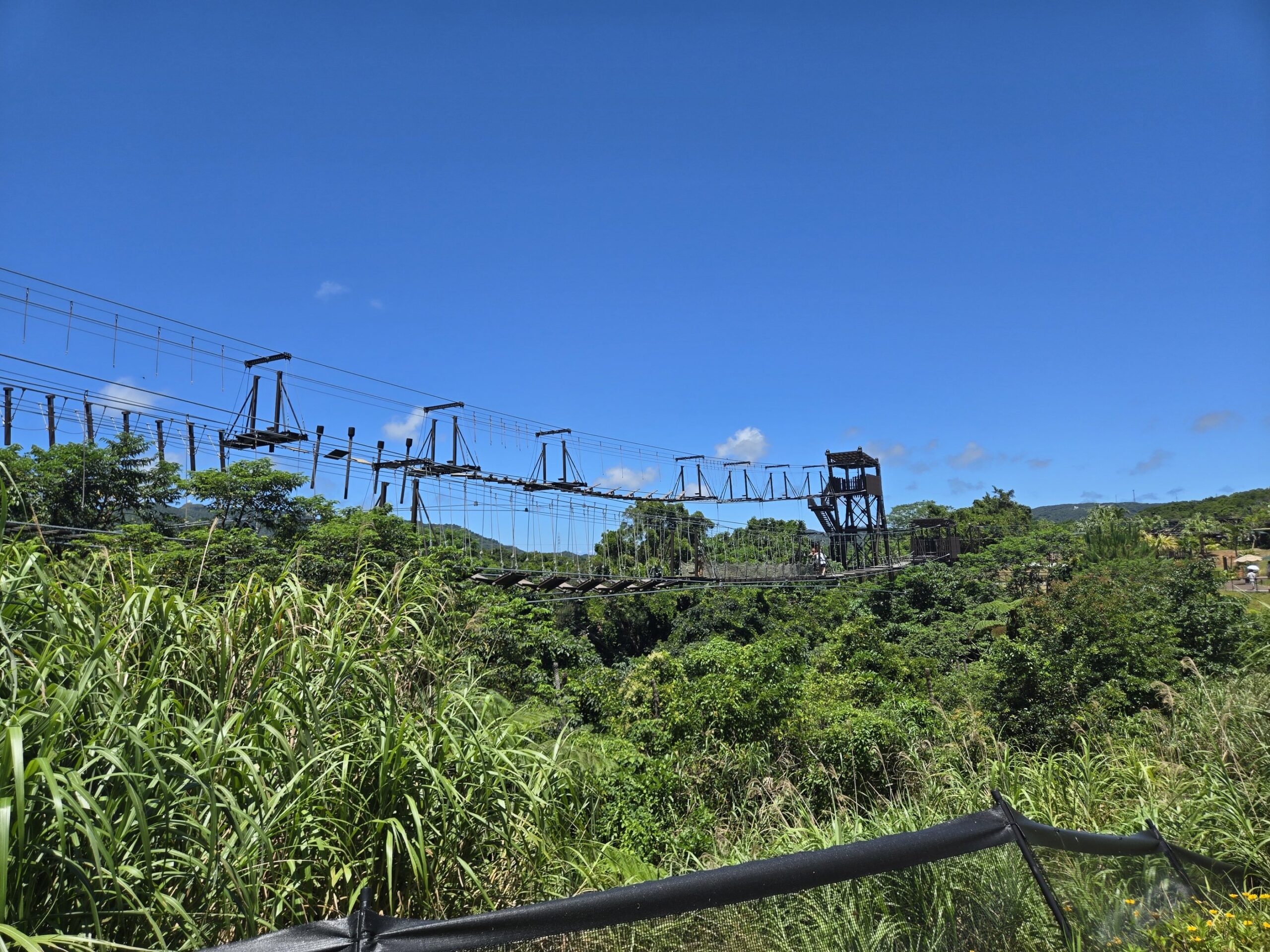吊り橋、青空、自然、冒険