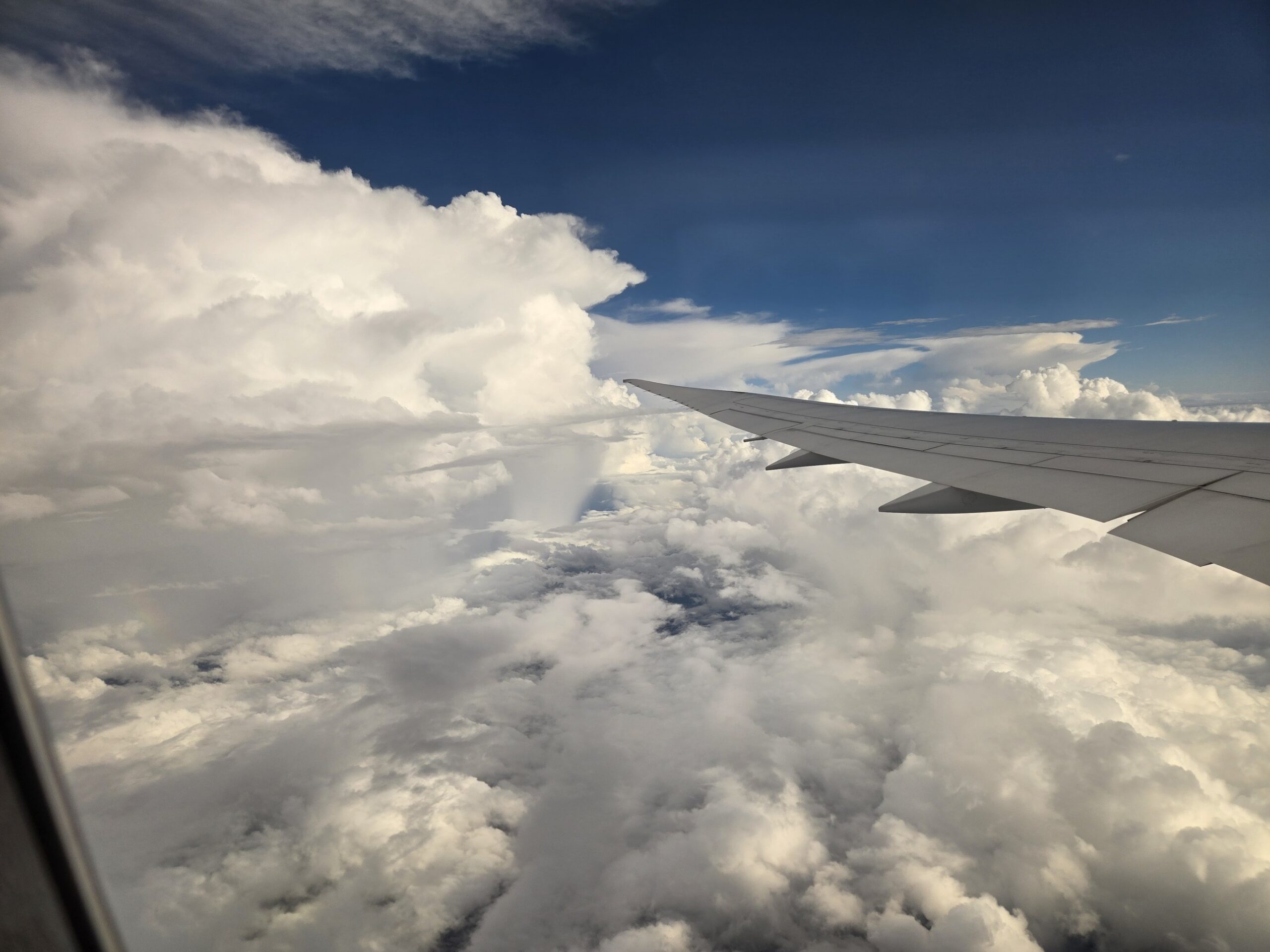 飛行機の窓から見る雲海と翼