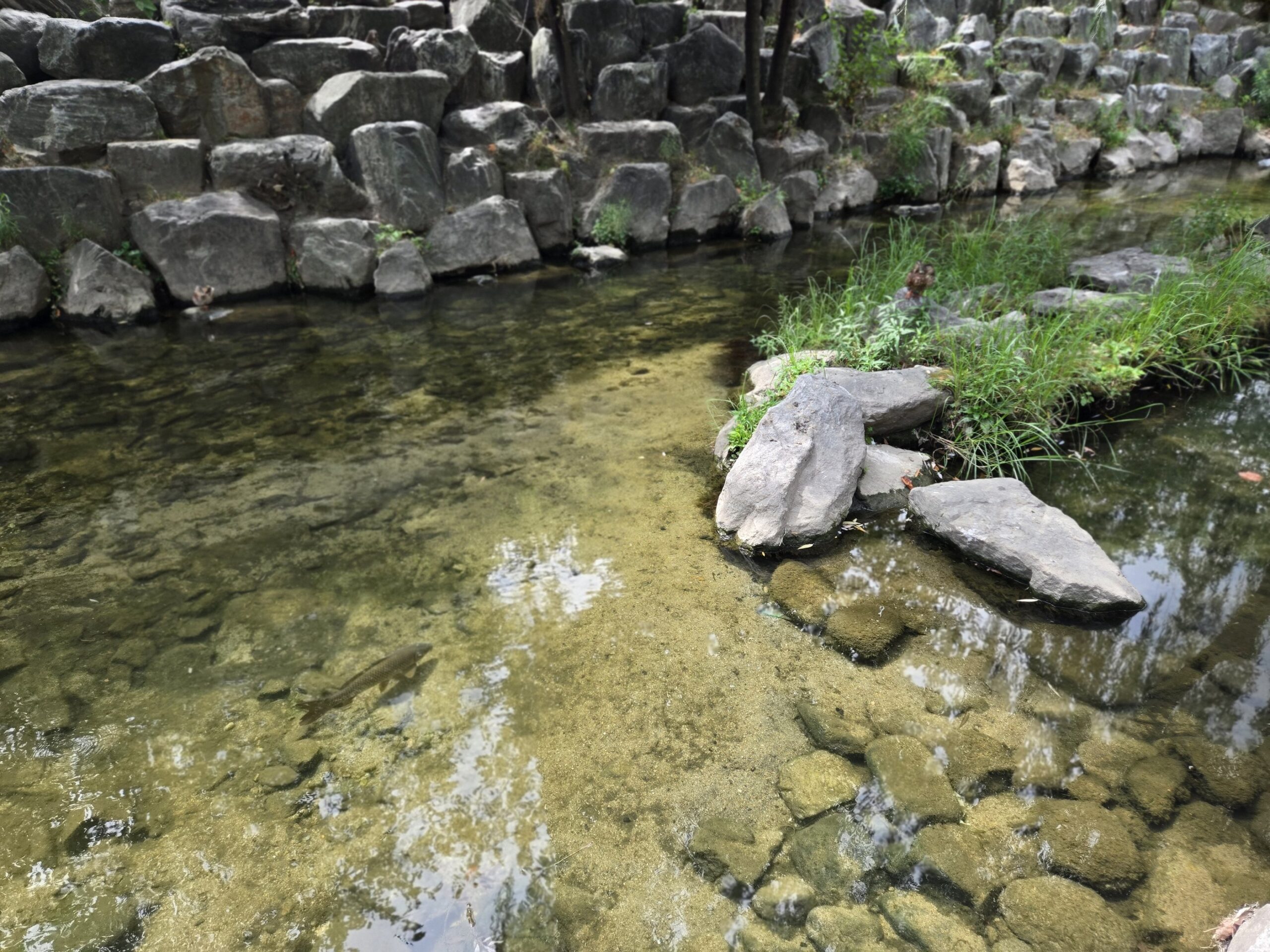 小川と石垣の景色、静かな雰囲気
