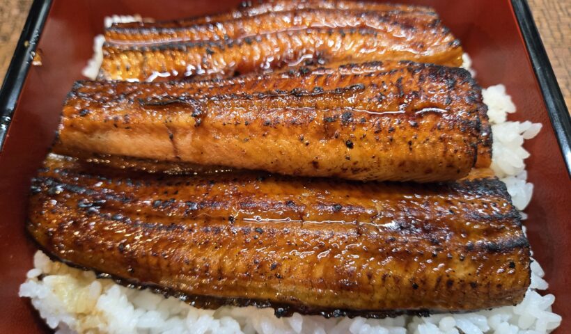 香ばしいうな重