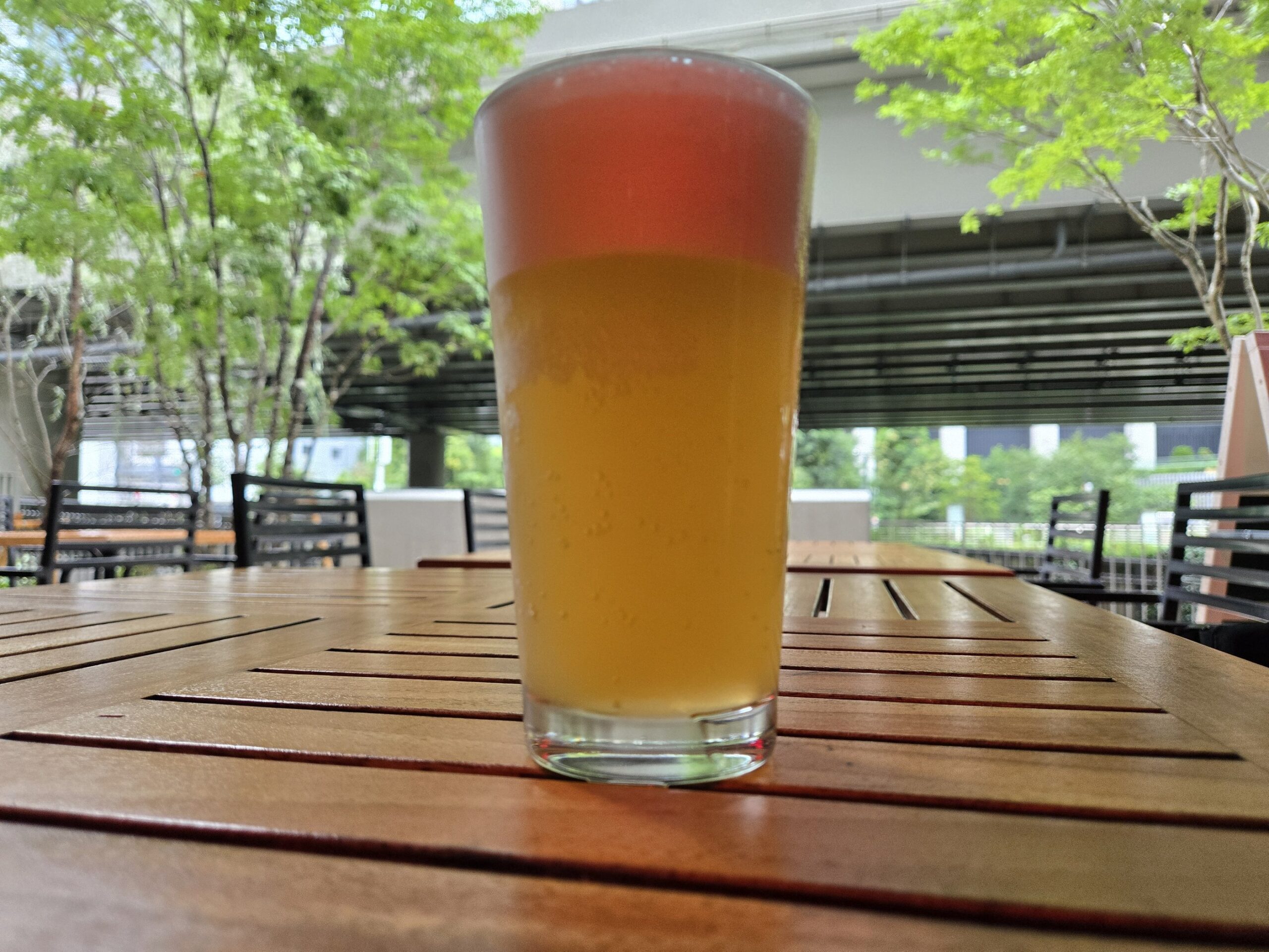 Rio BrewingのWHITE LIE