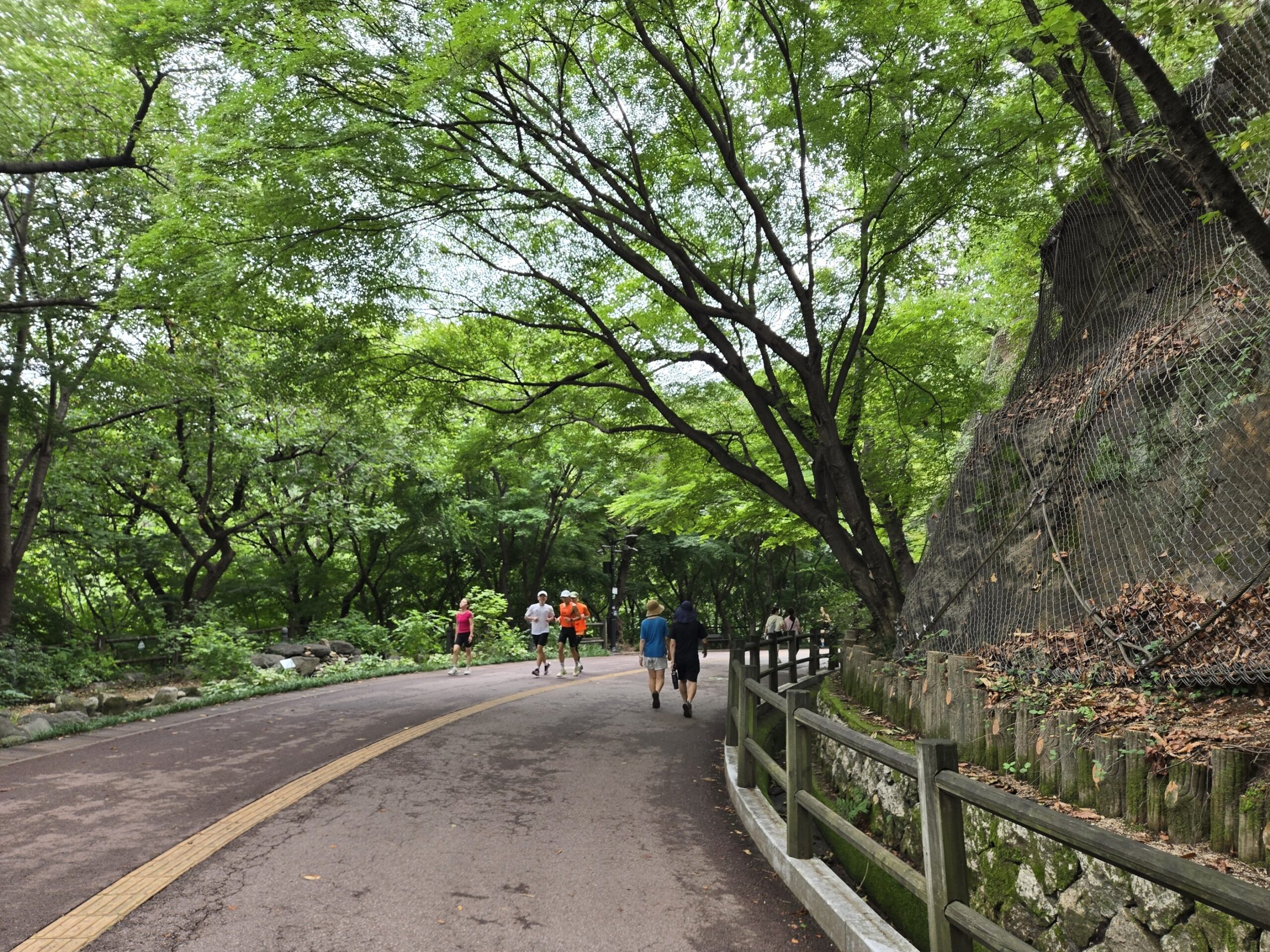 緑の中のジョギングコース、数名が走る