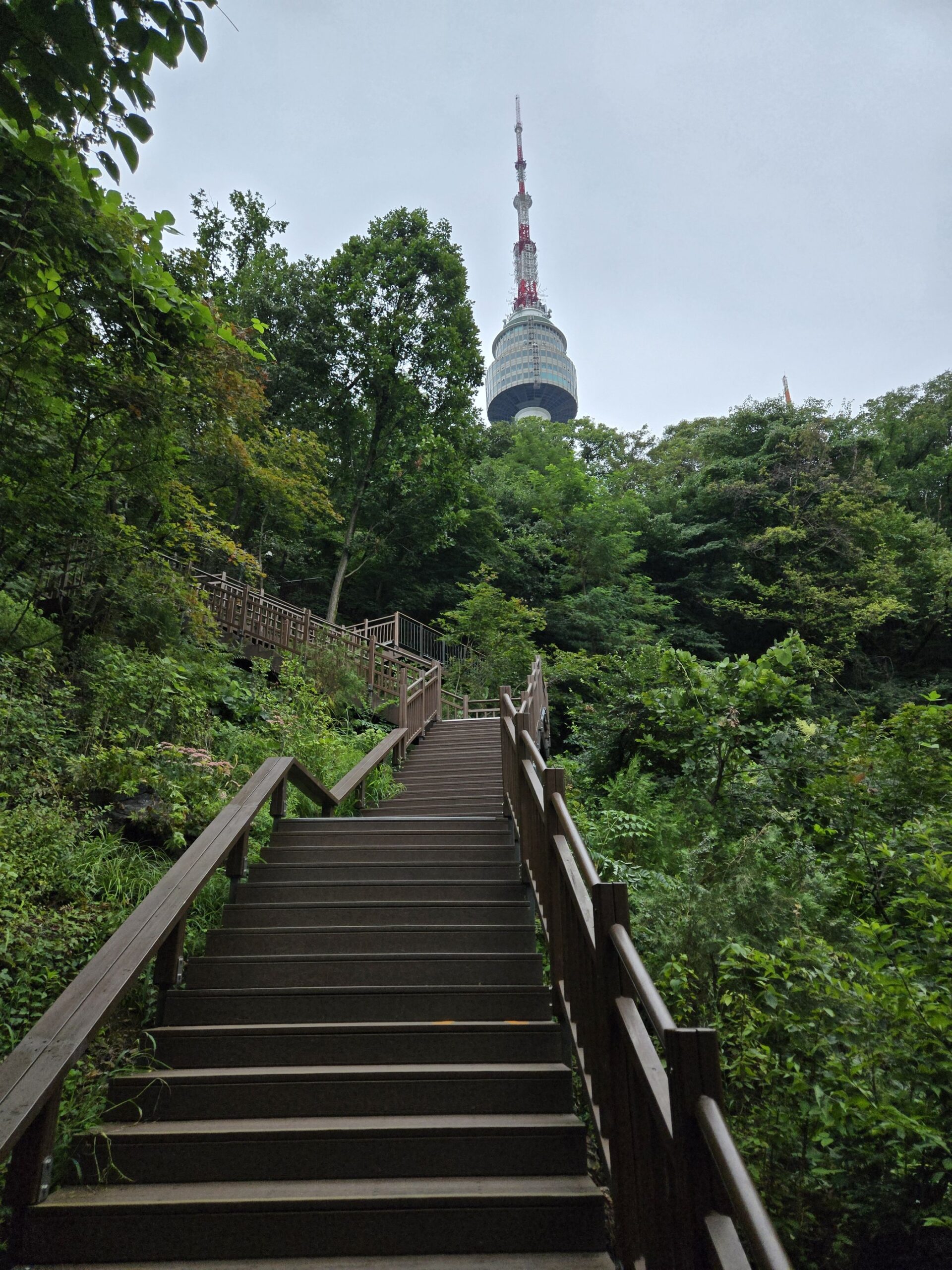 タワーへ続く緑の階段