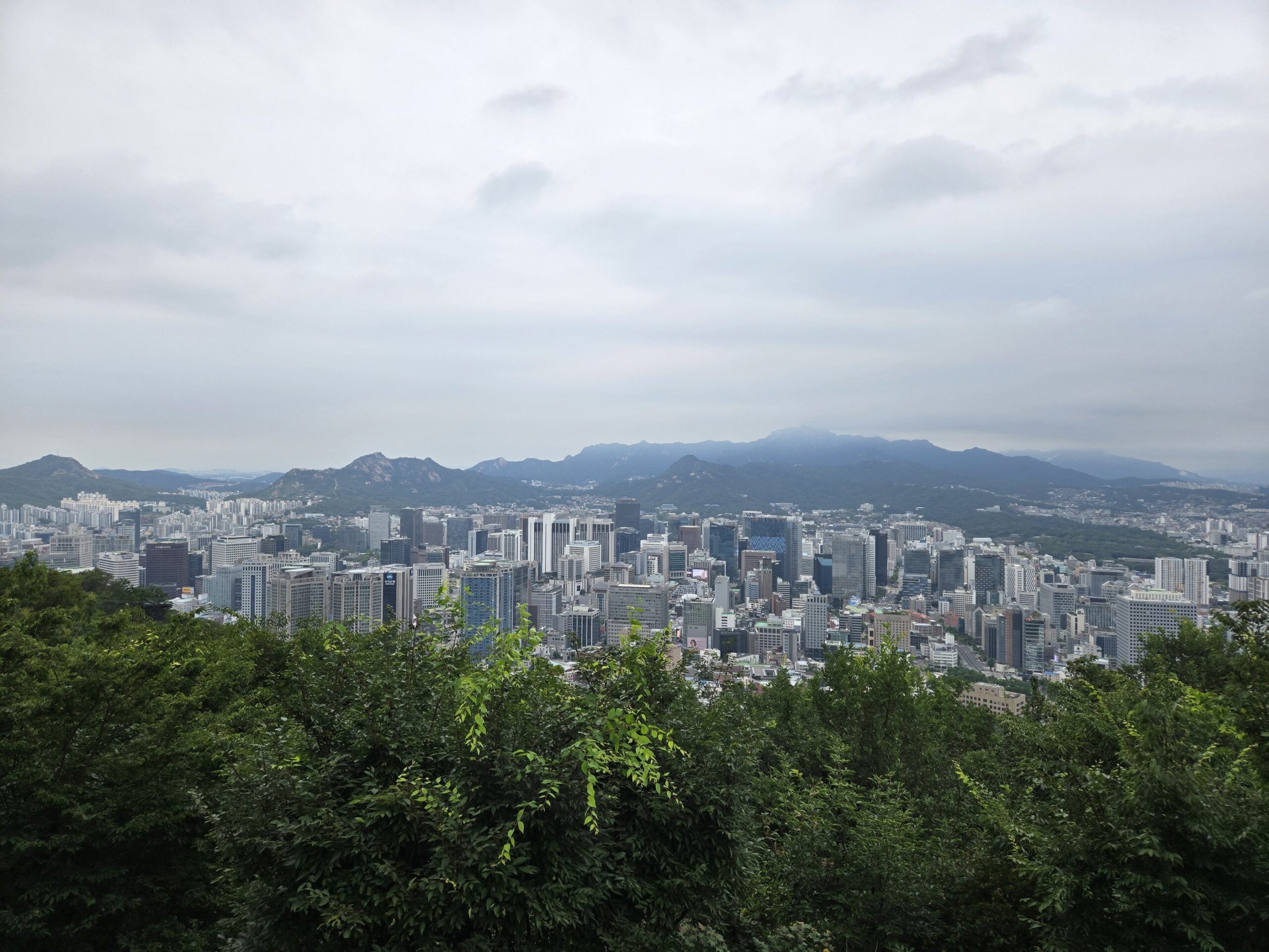 都市と山々を見渡す眺望