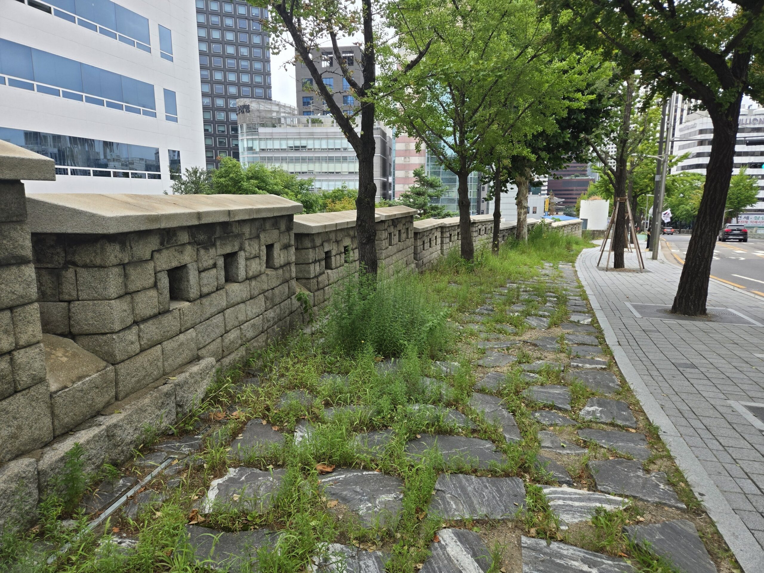 ソウルの石垣沿いの自然あふれる歩道