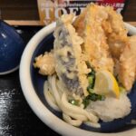 八重洲「谷やTOKYO」レビュー|TOFROM YAESUでかしわ天うどんを実食 谷やTOKYOのかしわ天ぷらうどん、サクサクの天ぷら